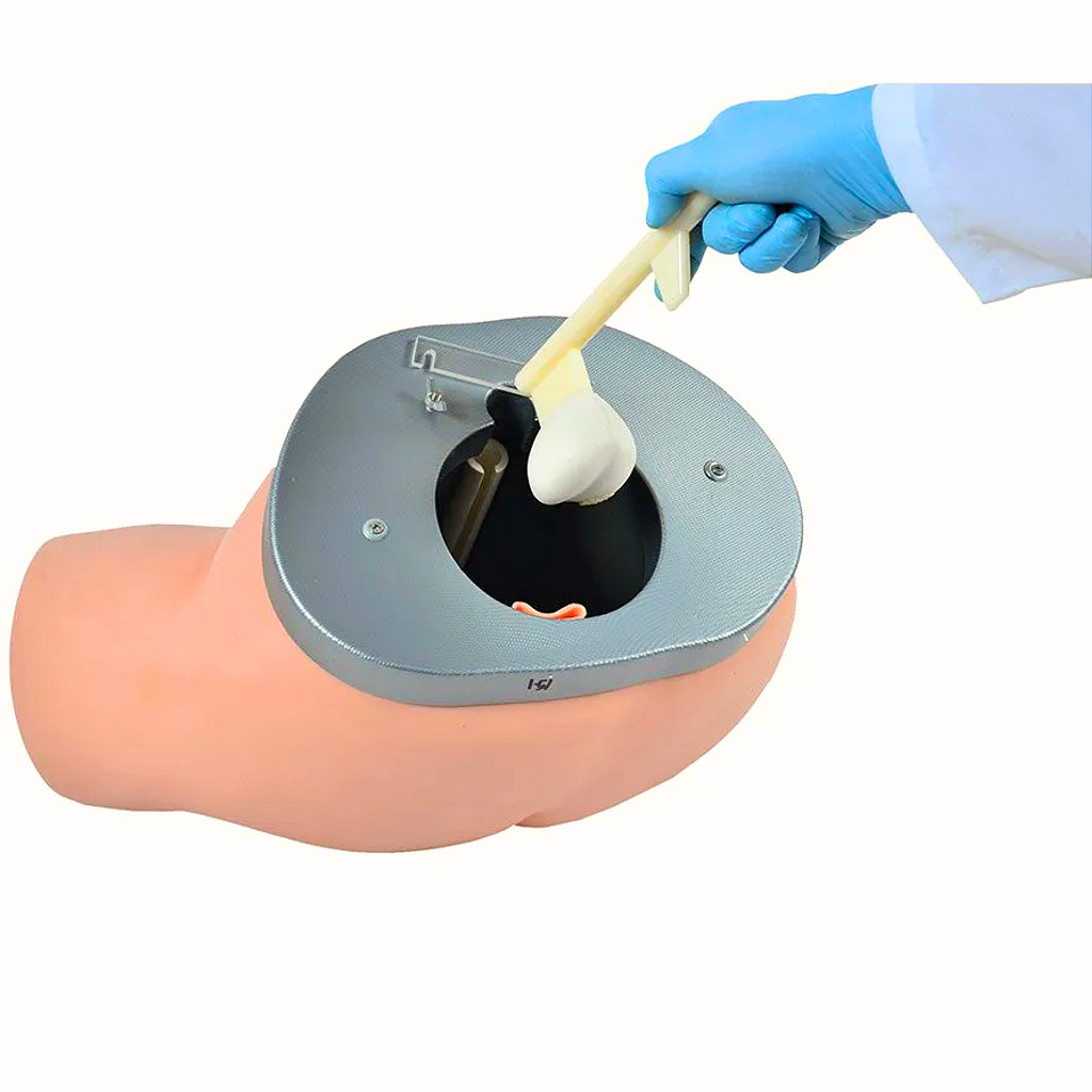 SIMULADOR PARA EXAME DE PRÓSTATA - SD4048 - SDORF
