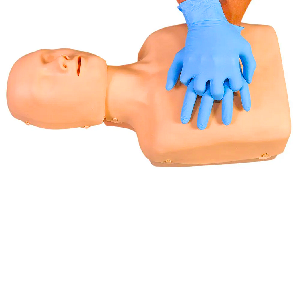 SIMULADOR DE RCP MECÂNICO ADULTO E INFANTIL - SD4002/C-SDORF