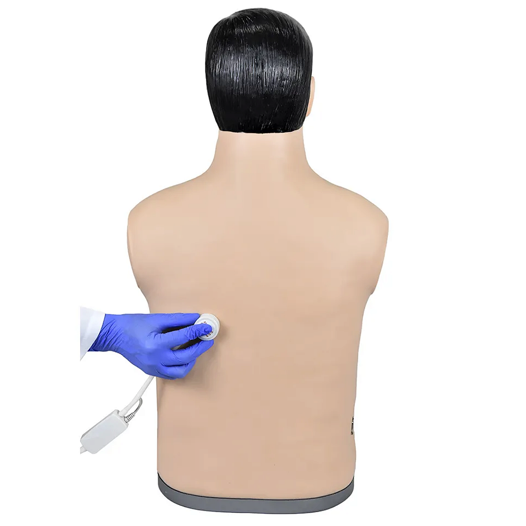 SIMULADOR DE AUSCULTA CARDIOPULMONAR - SD4040 - SDORF