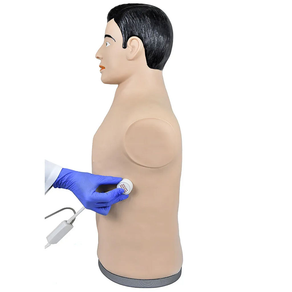 SIMULADOR DE AUSCULTA CARDIOPULMONAR - SD4040 - SDORF