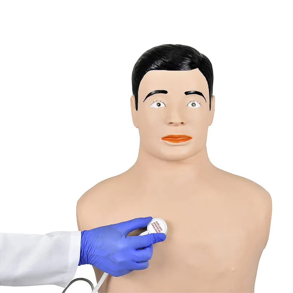 SIMULADOR DE AUSCULTA CARDIOPULMONAR - SD4040 - SDORF