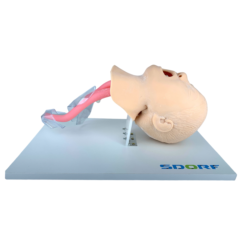 SIMULADOR DE INTUBAÇÃO AVANÇADO INFANTIL - SD4006/C - SDORF