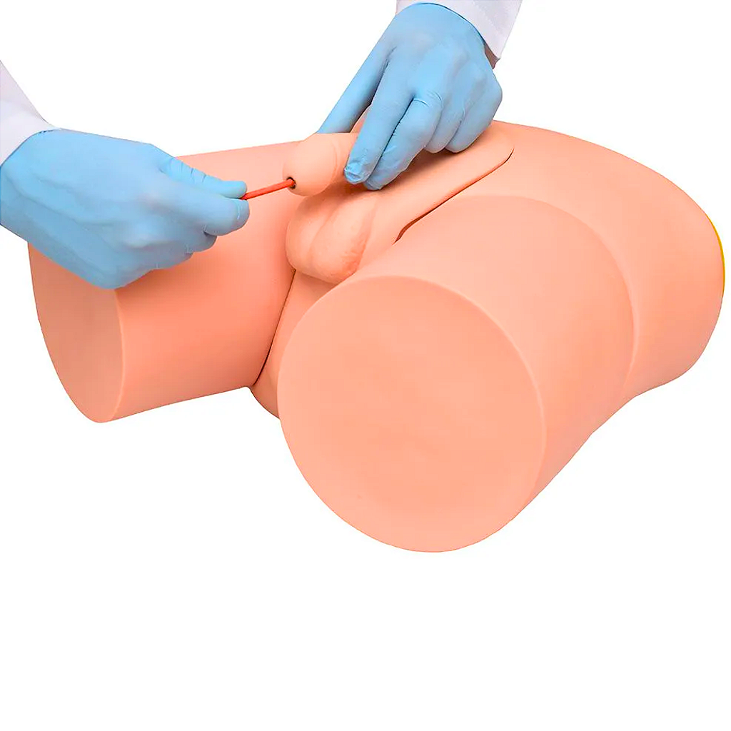 SIMULADOR DE CATETERIZAÇÃO VESICAL BISSEXUAL - SD4004 -SDORF