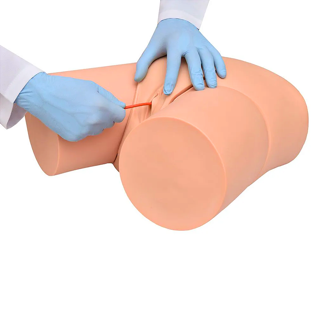 SIMULADOR DE CATETERIZAÇÃO VESICAL BISSEXUAL - SD4004 -SDORF
