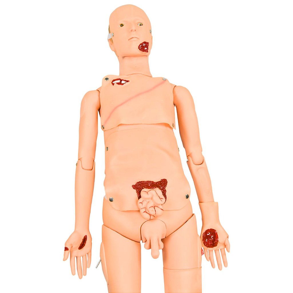 SIMULADOR TRAUMA BÁSICO ADULTO BISSEXUAL C/ ÓRGÃOS INTERNOS