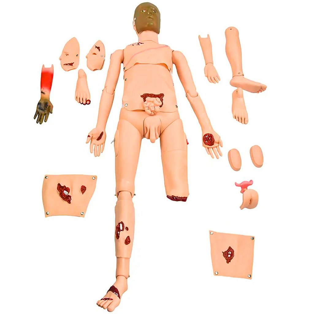 SIMULADOR TRAUMA BÁSICO ADULTO BISSEXUAL C/ ÓRGÃOS INTERNOS