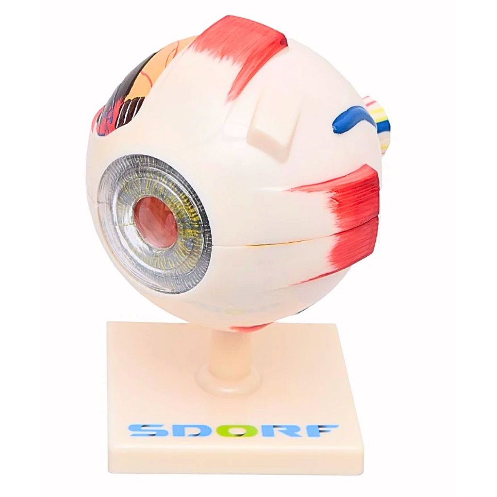 OLHO AMPLIADO EM 8 PARTES - SD5043 - SDORF