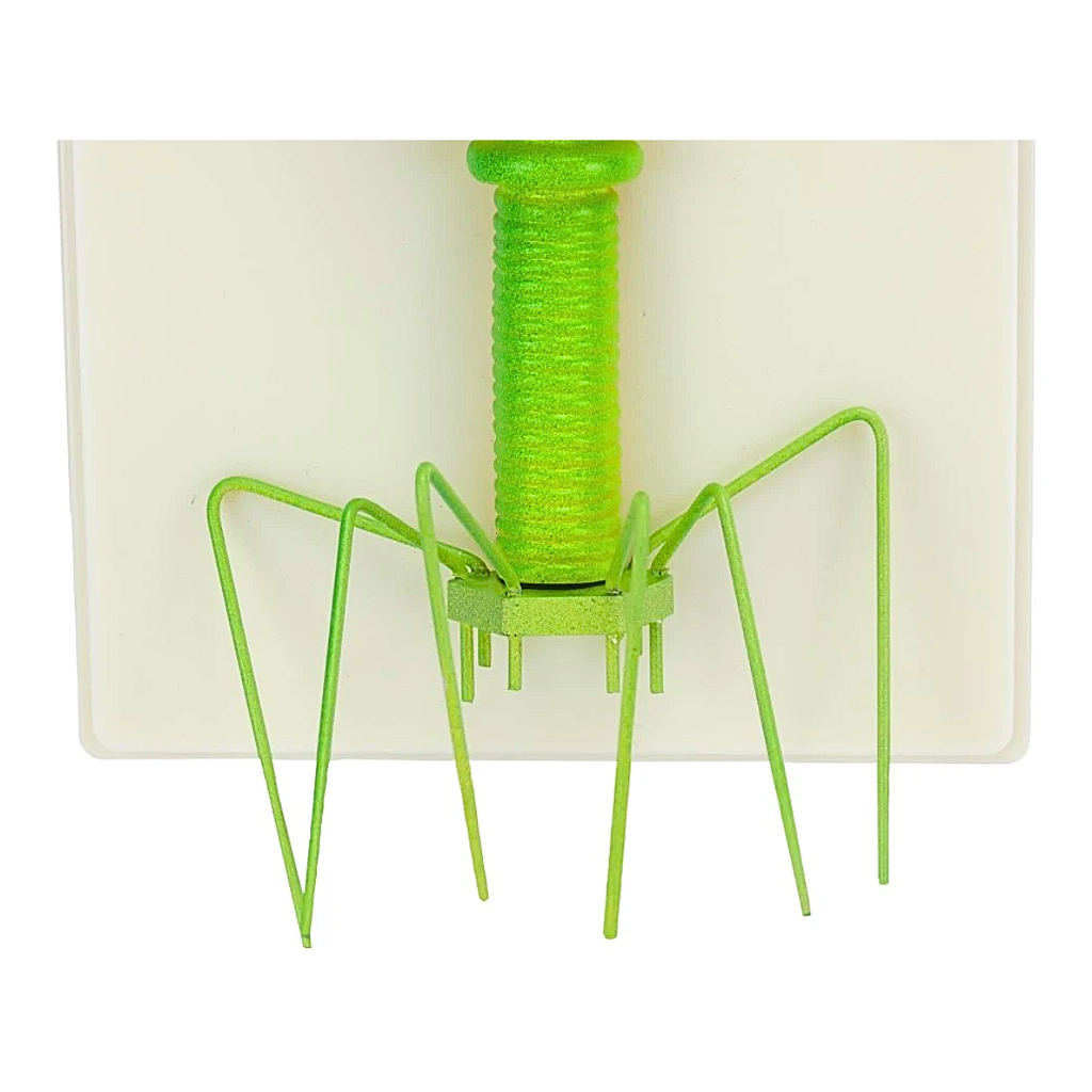 MODELO DE BACTERIÓFAGO - SD5078 - SDORF