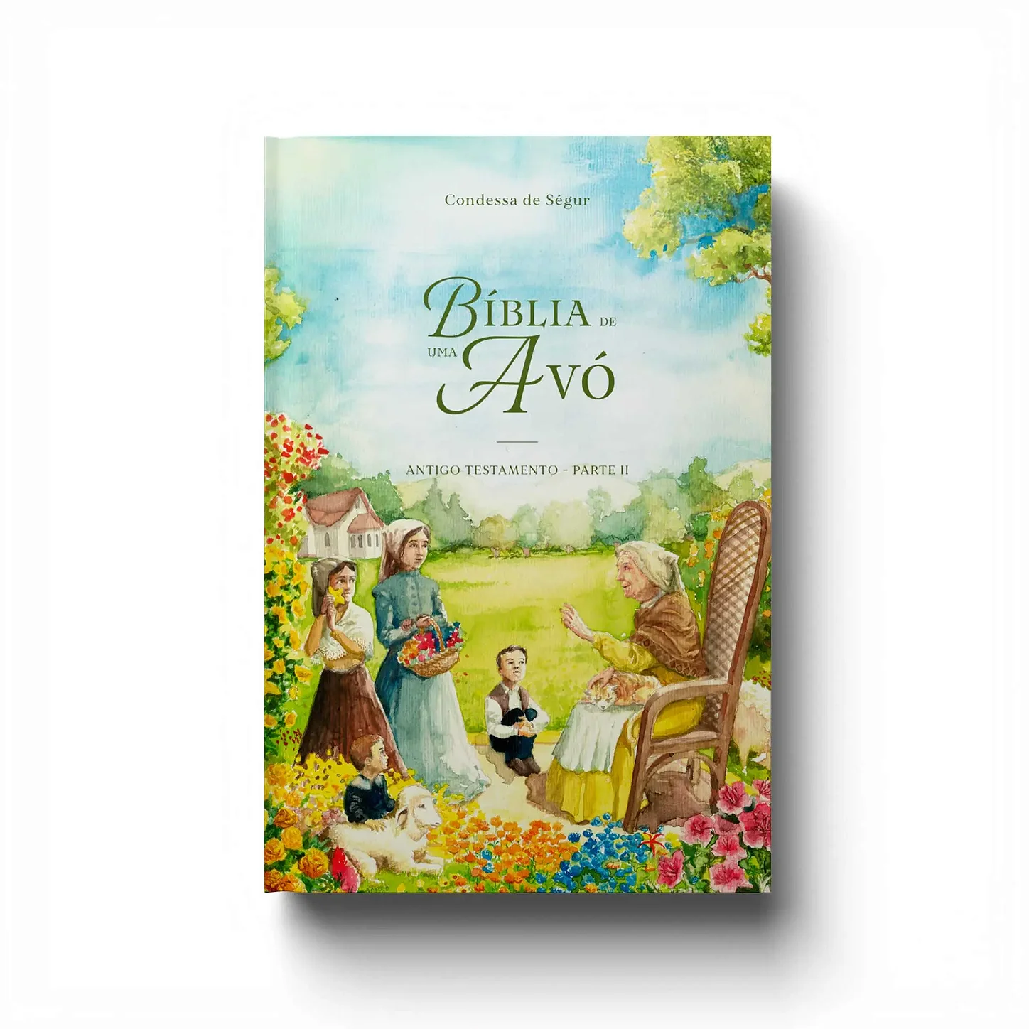 Capa do livro Bíblia de uma Avó — Antigo Testamento (Parte II)