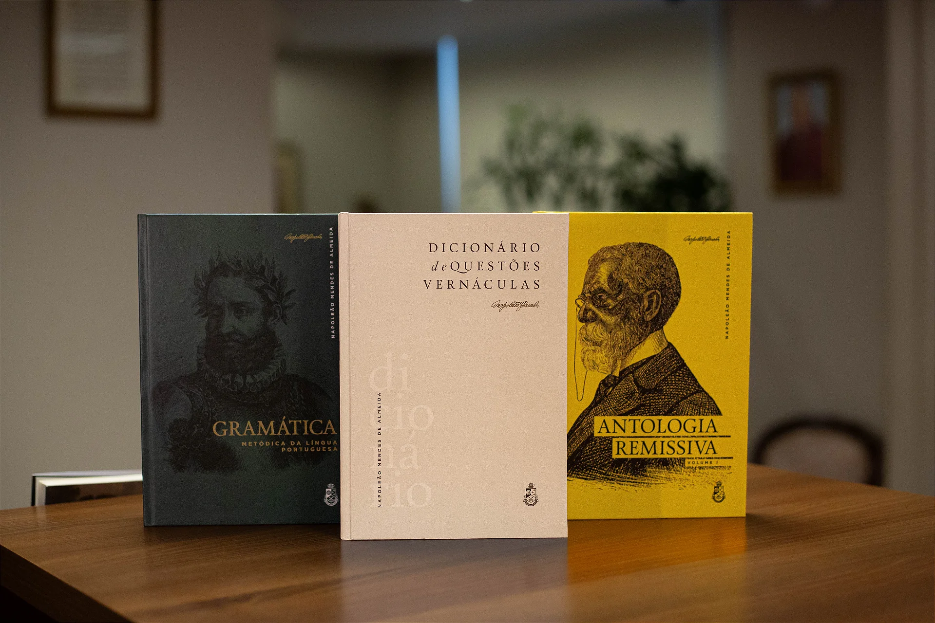 Combo Questões da Língua Portuguesa - Napoleão Mendes de Almeida