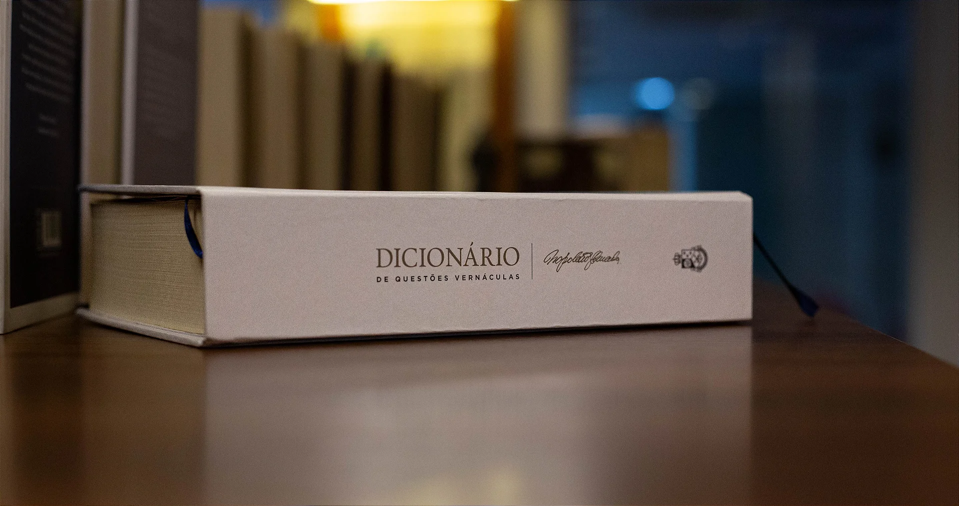 Dicionário de Questões Vernáculas - detalhe 4