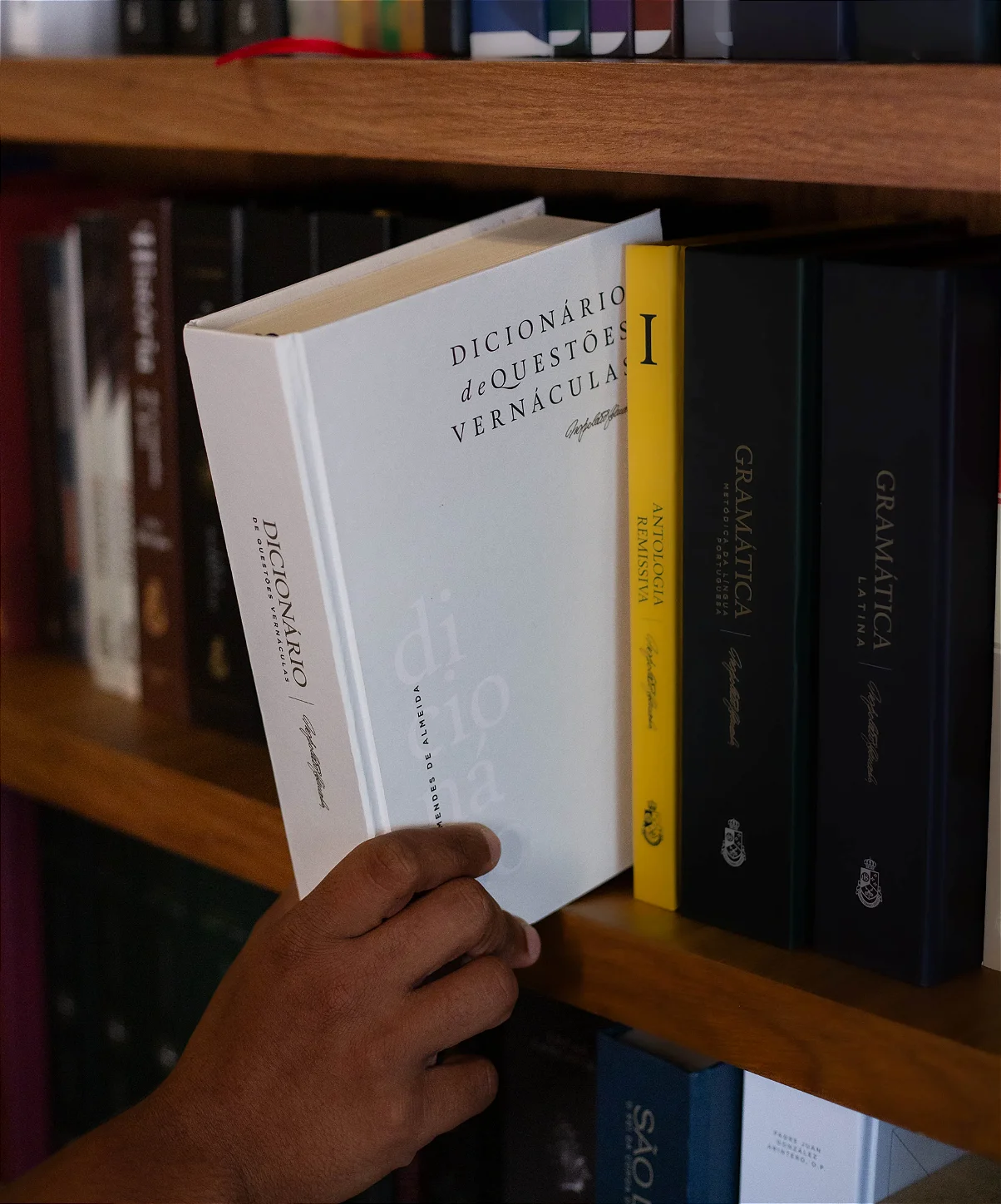 Dicionário de Questões Vernáculas - detalhe 2
