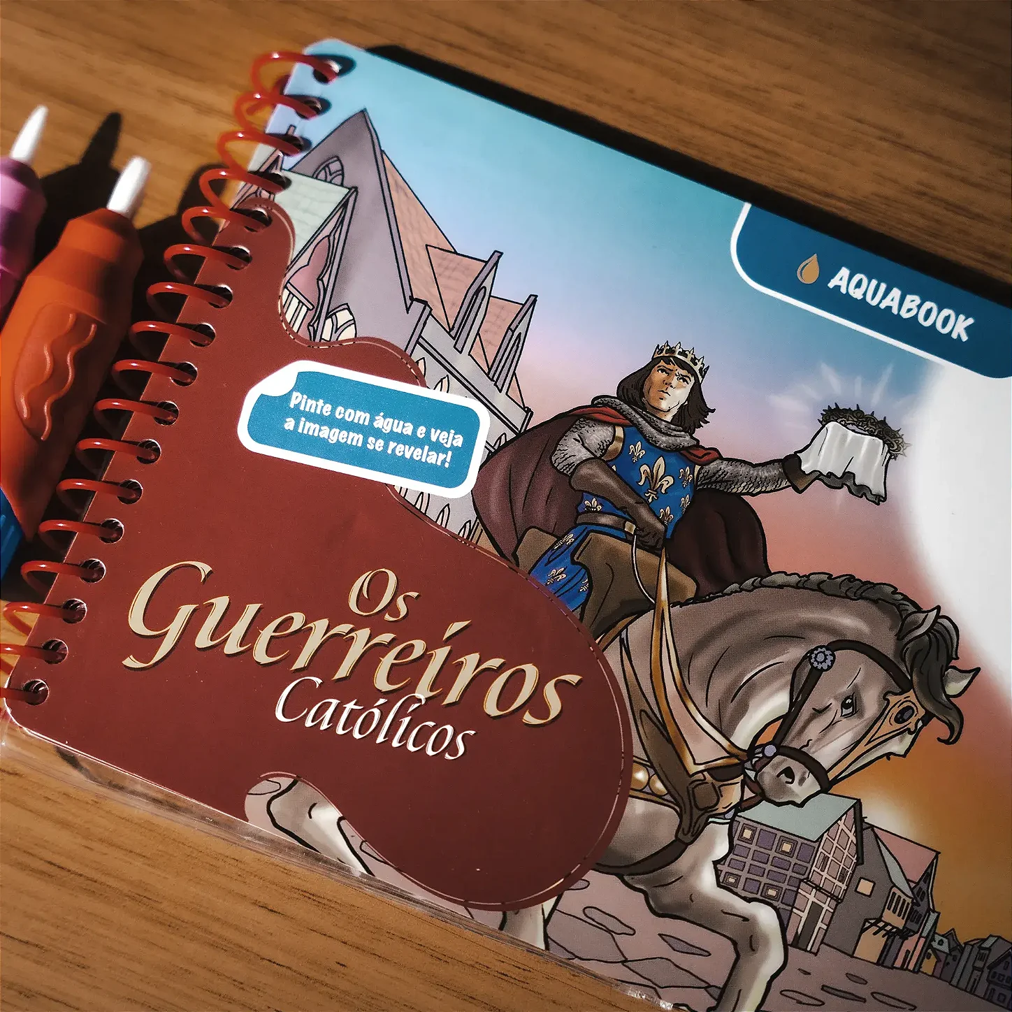 Capa do Aquabook Guerreiros e Santos