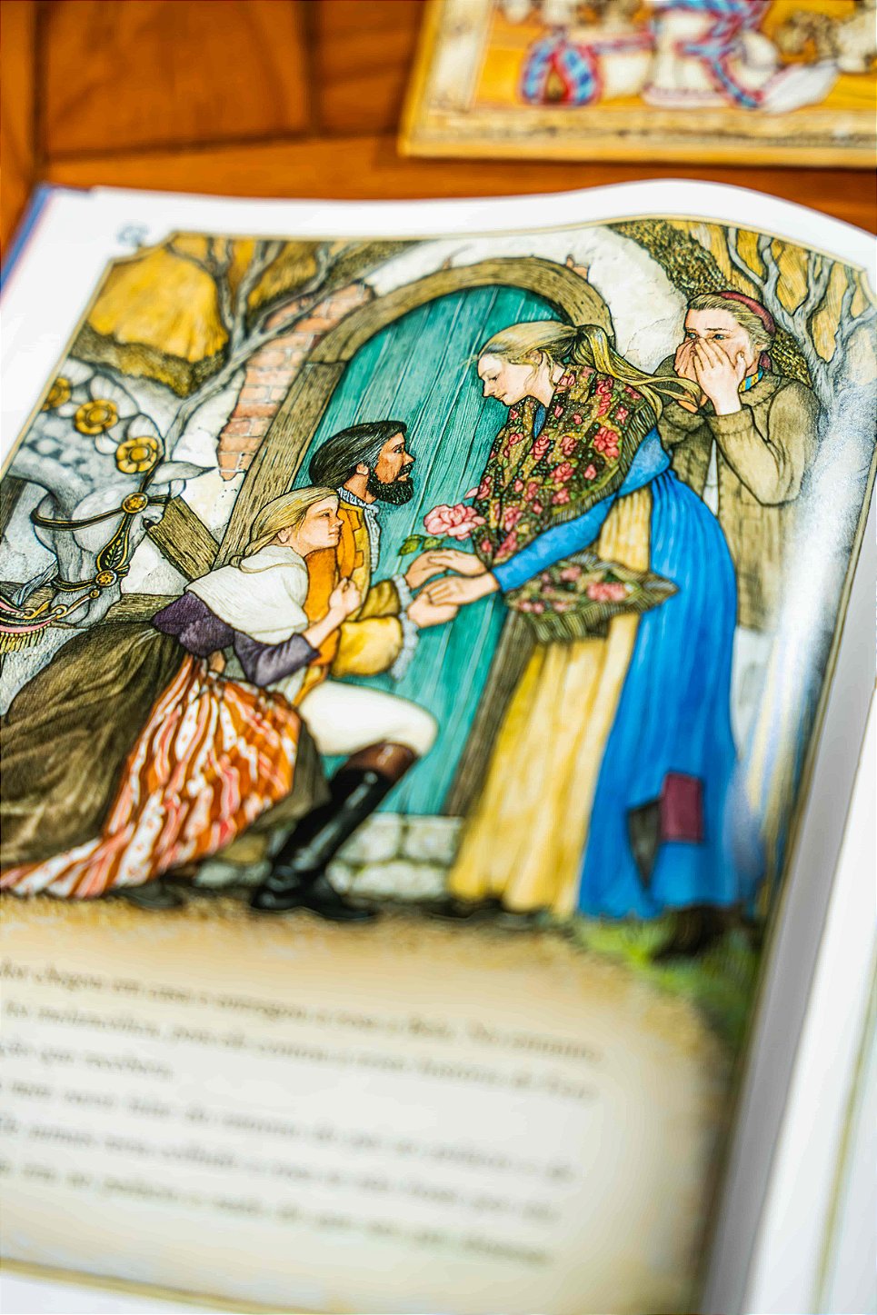 Detalhe ilustrado do livro A Bela e a Fera