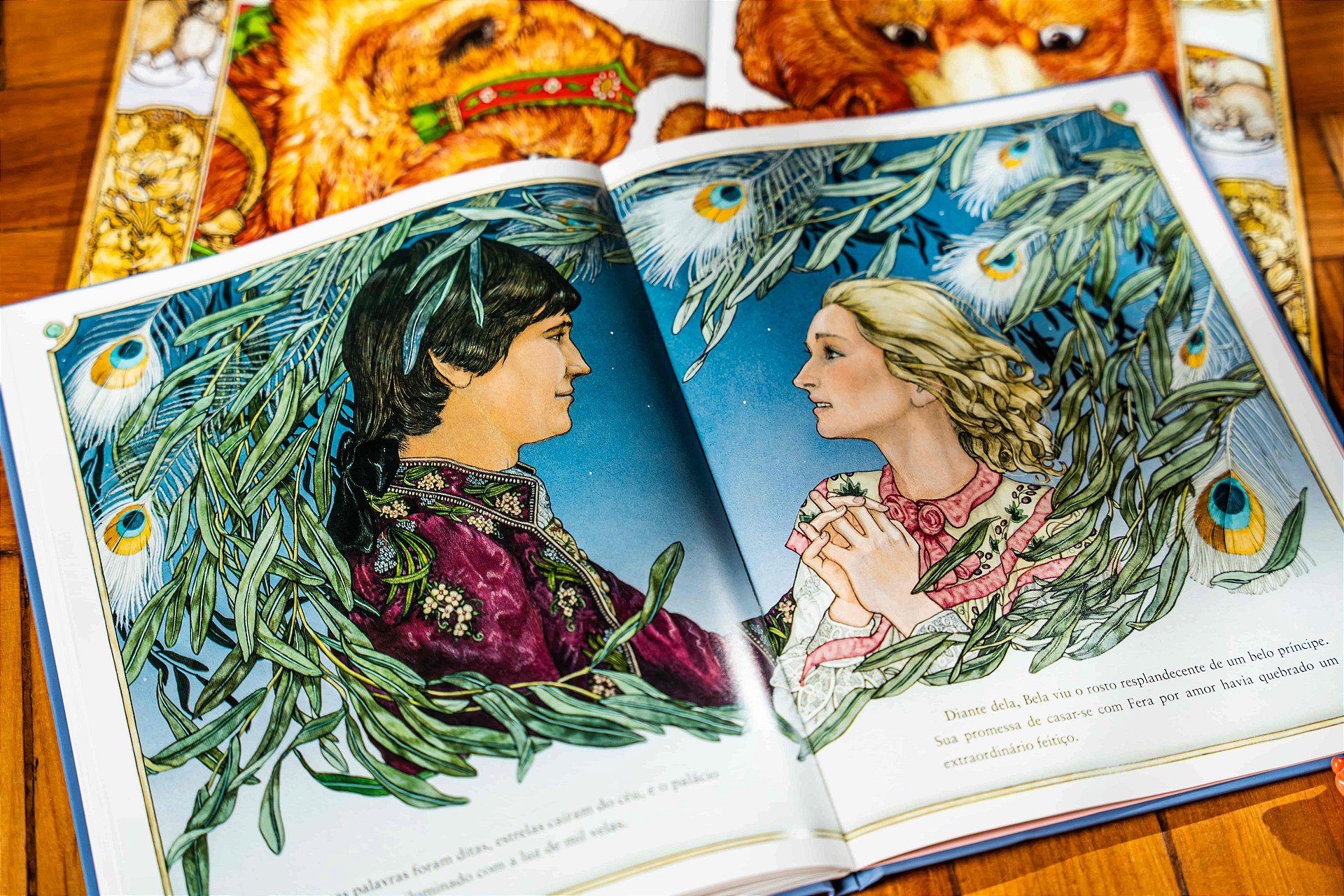 Imagem interna do livro A Bela e a Fera