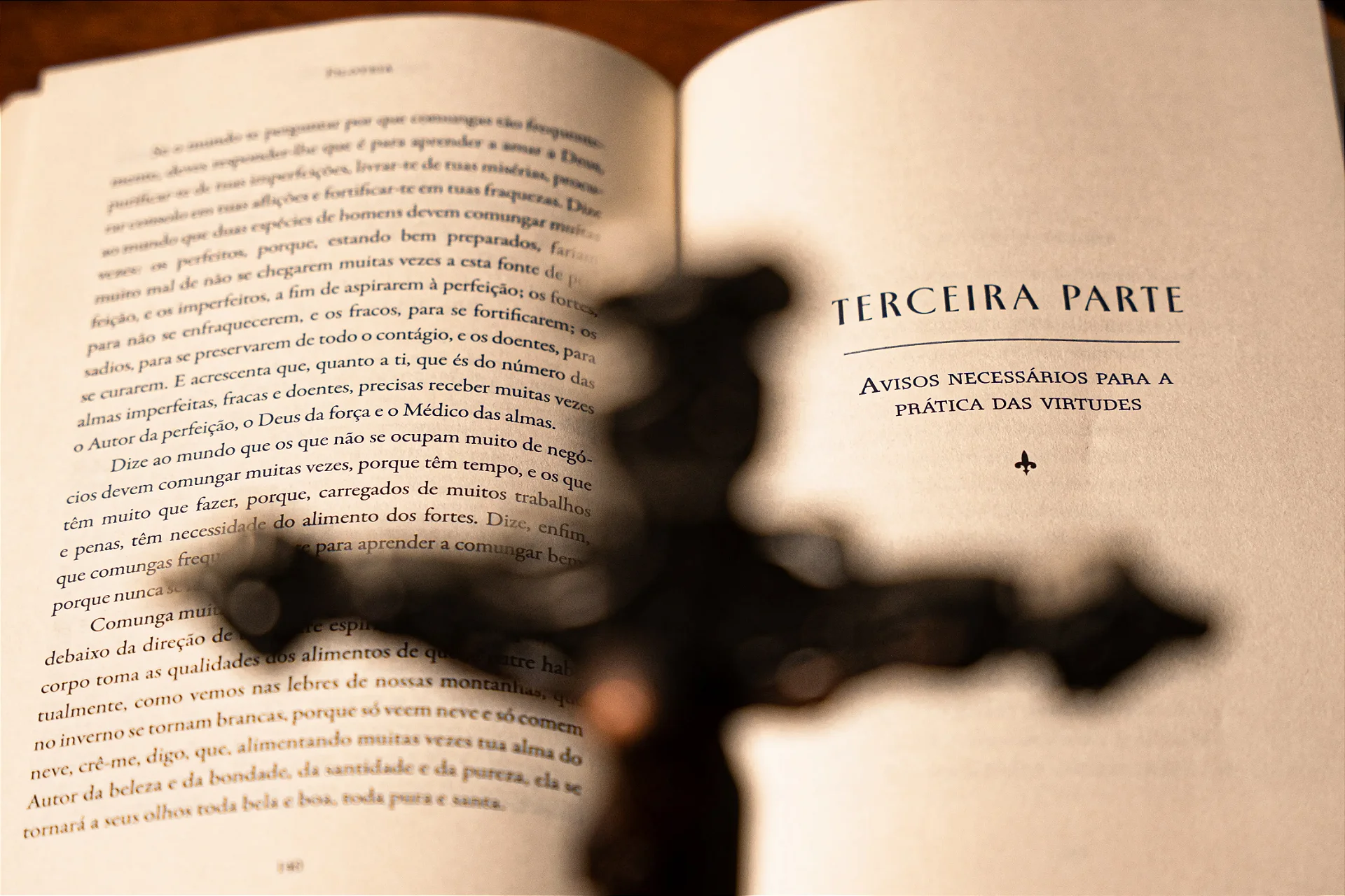 Filoteia - imagem quadrada 1