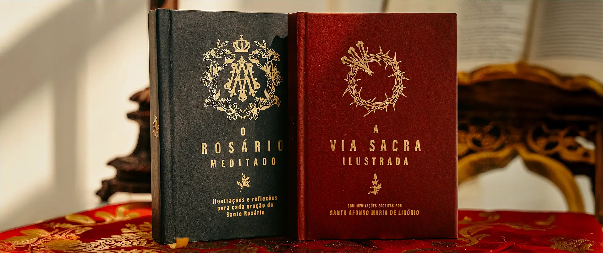 Combo Meditações ilustradas com 2 livros