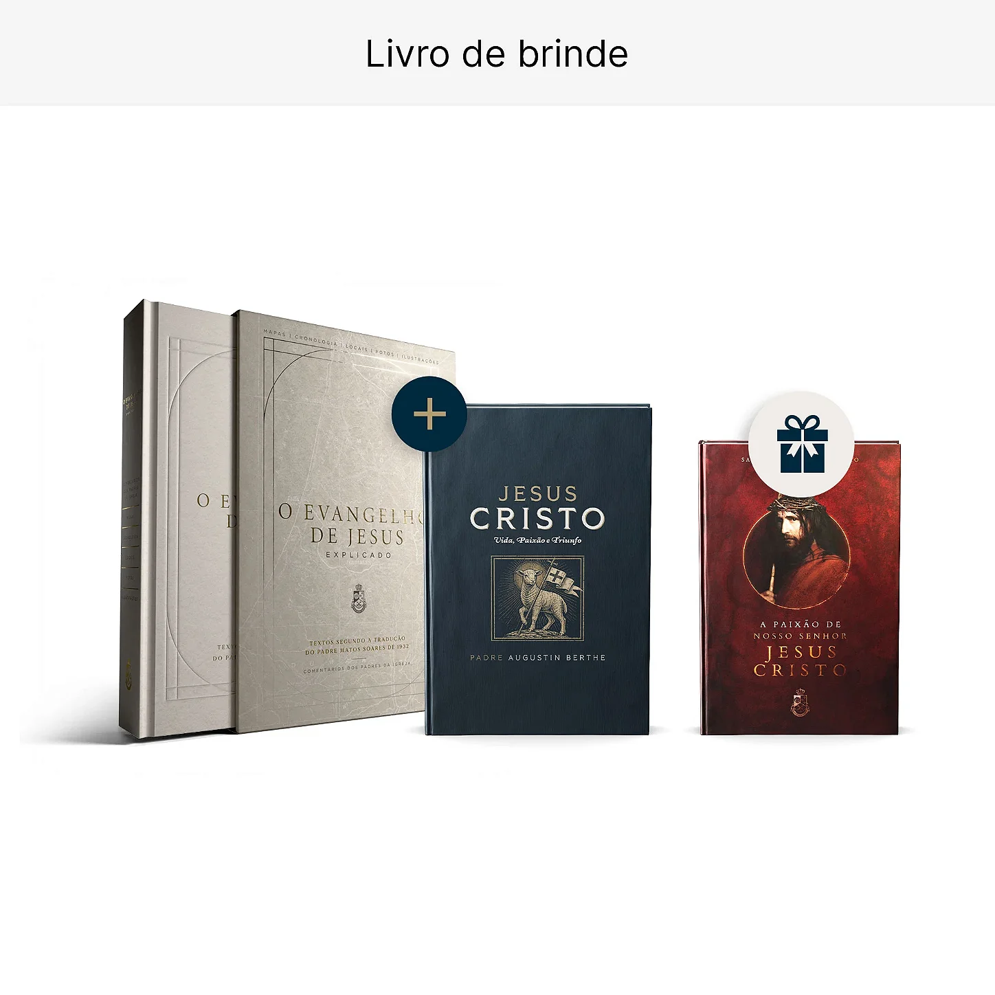 Combo Vida de Jesus Cristo