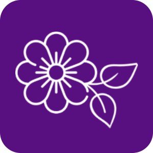 Flores e Folhas