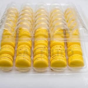Blister para 35 Macarons Ref. BM35C - 27,5x22x5cm - 20 Unidades