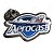 Pin Oficial Aerocast - Imagem 1
