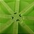 Tupperware Forma de Gelo Triangular Verde-Claro - Imagem 4