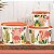 Tupperware Caixa Flamingo Kit 3 peças Laranja - Imagem 2