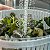 Secador de Saladas 5,5L Linha Clear Fresh - Imagem 3