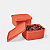 Kit Tupperware Basic Line 500ml 2 Peças Laranja Coral - Imagem 1