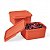 Kit Tupperware Basic Line 500ml 2 Peças Laranja Coral - Imagem 1