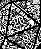 Raglan D20 - Imagem 2