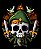 Manga Longa Link Zelda Skull - Imagem 2