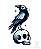 Raglan Corvo e Caveira de Bolso - Imagem 2