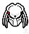 Raglan Predador - Imagem 2