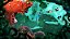 Jogo Rayman Origins - Xbox 360/Xbox One - Imagem 2
