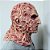 Máscara Freddy Krueger Halloween realista em látex - Imagem 6