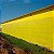 Lona Plástica Amarela 4x25m Pintura Obra Reforma Construção - Imagem 7