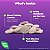 [Natrol] Fast Dissolve Melatonina 10 mg, Cítrus | 60 Comprimidos - Imagem 3