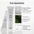 [Dr.Althea] Retinol Flat Iron Eye Cream Roller | 25ml - Imagem 5