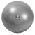 Bola Pilates 75cm, Cinza, Com Bomba de Ar, T9-75, Acte Sports - Imagem 1
