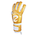 Start Pro 2026 Gecko Gold Edition Dourada - Imagem 8
