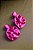 JC Brinco Talita Rosa Choque - Imagem 2