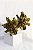 JC Flor Deise Verde Musgo - Imagem 2