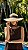 JC Hat Verano - Imagem 2
