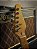 GUITARRA TELECASTER HARDY 904 - BENSON - SUNBURST - Imagem 4