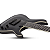 GUITARRA SCHECTER C-7 SLS ELITE EVIL TWIN SATIN BLACK 1349 KOR - Imagem 3