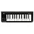 TECLADO CONTROLADOR MIDI USB MICROKEY-25 - Imagem 1