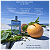 Perfume Man Aqua EDT Masculino 100ml - Jimmy Choo - Imagem 3