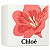 Kit Perfume Nomade Feminino EDP 50ml + Body Lotion 100ml - Chloé - Imagem 3