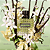 Perfume Born in Roma Donna Green Stravaganza EDP Feminino 30ml - Valentino - Imagem 4